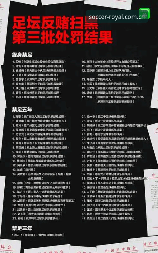 球王会尊享体验 资深用户深度解析足协第三批禁足名单,球王会体育观赛视角下的行业反思
